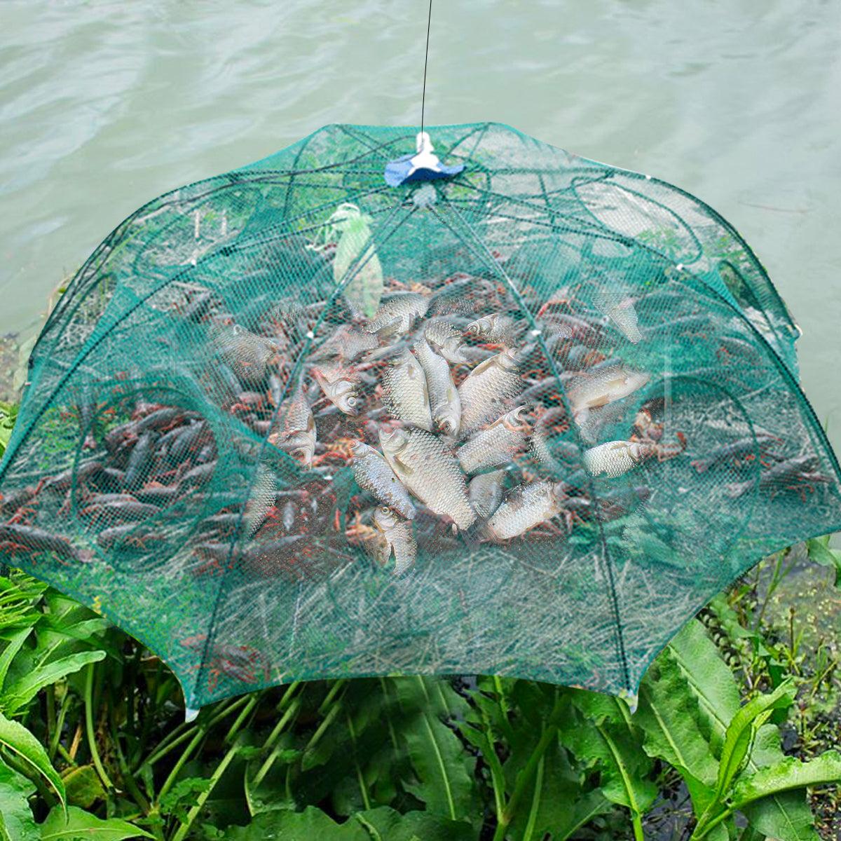 TrapMaster™ – Fold & Catch Pest Solution